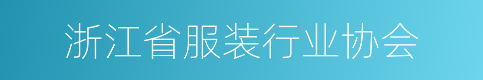 浙江省服装行业协会的同义词