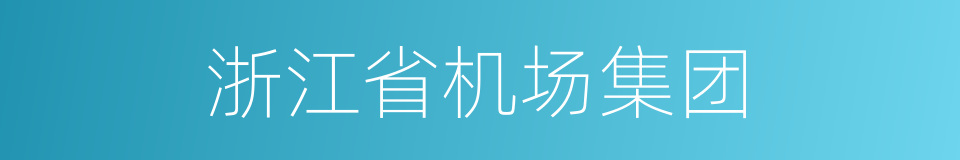 浙江省机场集团的同义词