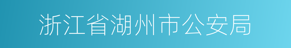 浙江省湖州市公安局的同义词