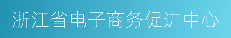 浙江省电子商务促进中心的同义词