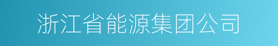 浙江省能源集团公司的同义词