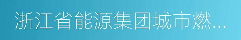 浙江省能源集团城市燃气有限公司的同义词