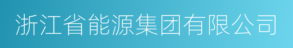 浙江省能源集团有限公司的同义词