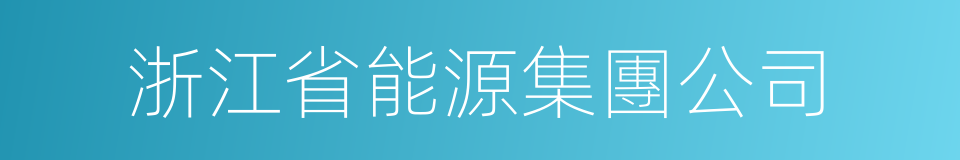 浙江省能源集團公司的同義詞