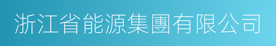 浙江省能源集團有限公司的同義詞