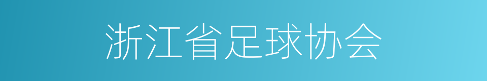 浙江省足球协会的同义词