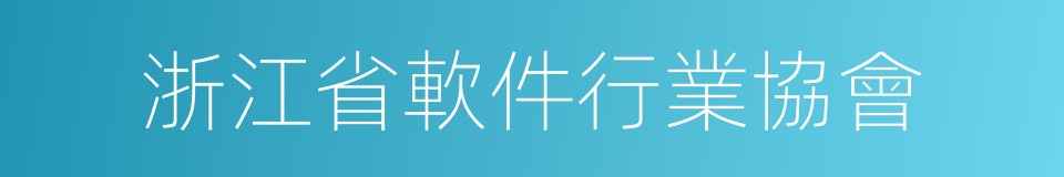 浙江省軟件行業協會的同義詞