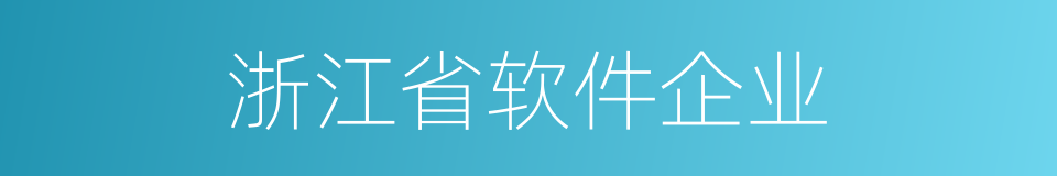 浙江省软件企业的同义词