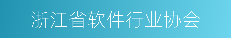 浙江省软件行业协会的同义词