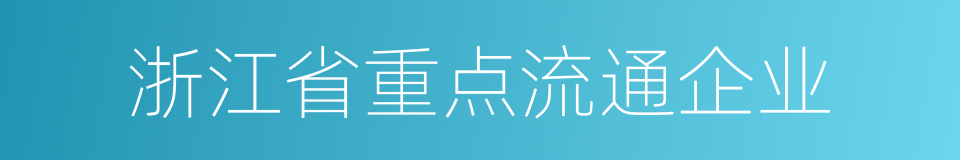 浙江省重点流通企业的同义词