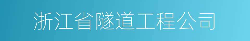 浙江省隧道工程公司的同义词