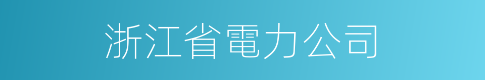 浙江省電力公司的同義詞