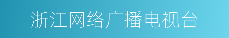 浙江网络广播电视台的同义词