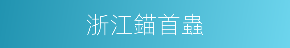 浙江錨首蟲的同義詞