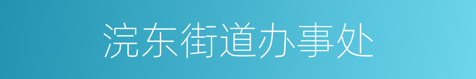 浣东街道办事处的同义词