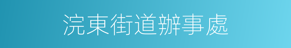 浣東街道辦事處的同義詞