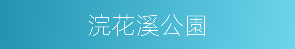 浣花溪公園的同義詞