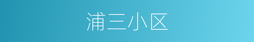浦三小区的同义词