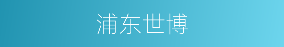 浦东世博的同义词