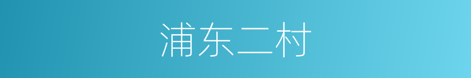 浦东二村的同义词