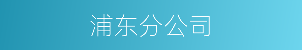 浦东分公司的同义词