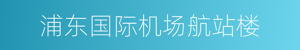 浦东国际机场航站楼的同义词