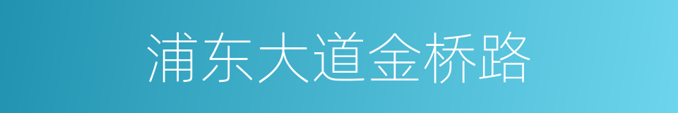 浦东大道金桥路的同义词