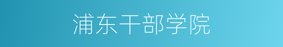 浦东干部学院的同义词