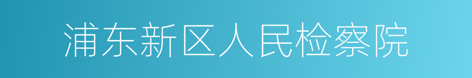 浦东新区人民检察院的同义词