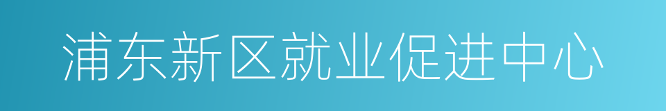 浦东新区就业促进中心的同义词