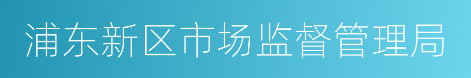 浦东新区市场监督管理局的同义词