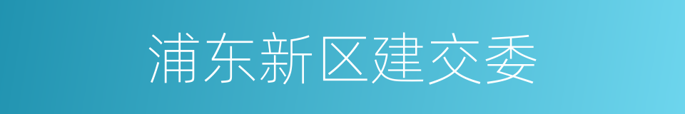 浦东新区建交委的同义词