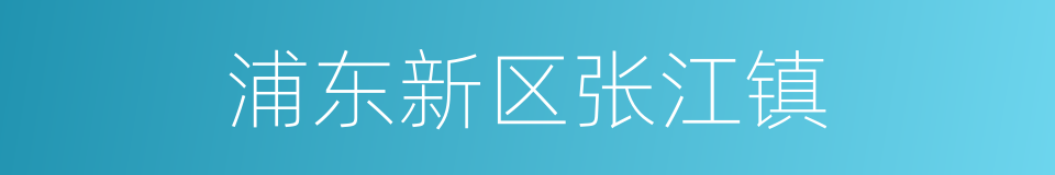 浦东新区张江镇的同义词