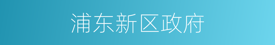 浦东新区政府的同义词