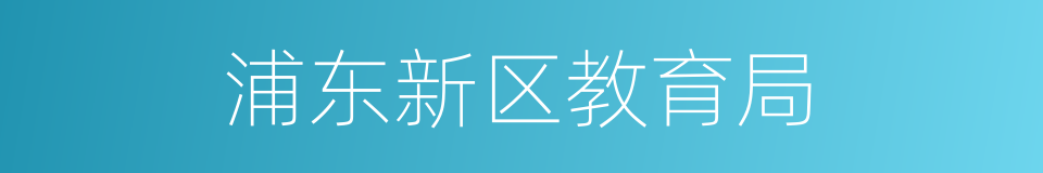 浦东新区教育局的同义词