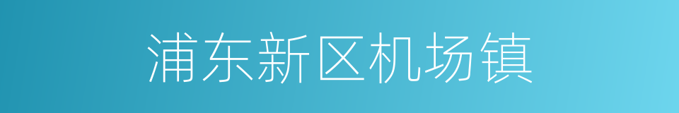 浦东新区机场镇的同义词
