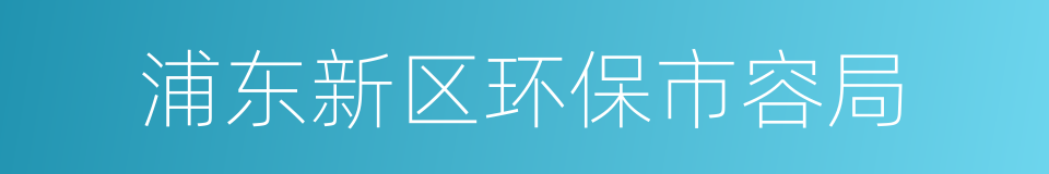 浦东新区环保市容局的同义词