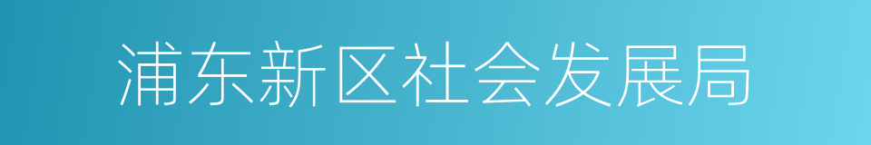 浦东新区社会发展局的同义词
