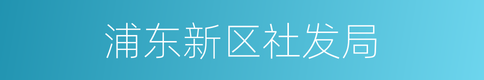 浦东新区社发局的同义词