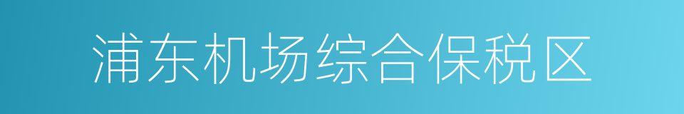 浦东机场综合保税区的同义词