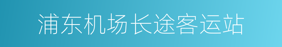 浦东机场长途客运站的同义词