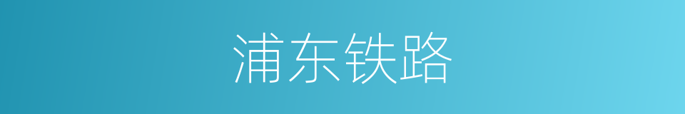 浦东铁路的同义词