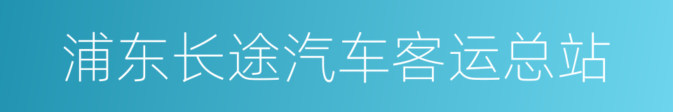 浦东长途汽车客运总站的同义词