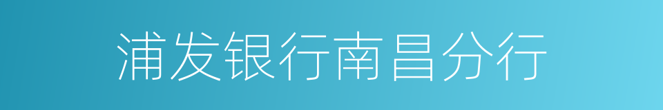 浦发银行南昌分行的同义词