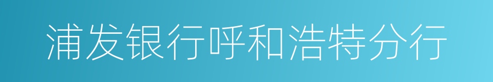 浦发银行呼和浩特分行的同义词