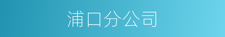 浦口分公司的同义词