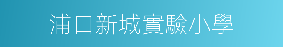 浦口新城實驗小學的同義詞