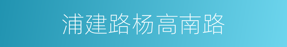 浦建路杨高南路的同义词