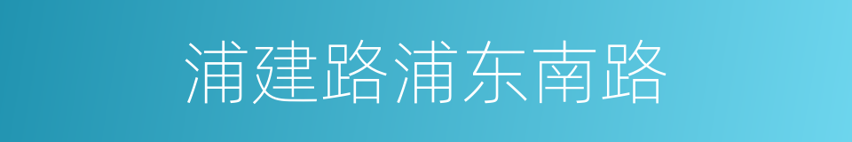 浦建路浦东南路的同义词