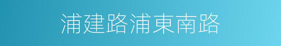 浦建路浦東南路的同義詞